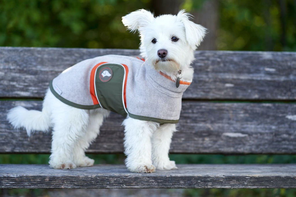 Hundemantel für kleine Hunde