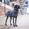 Dog raincoat COOPER, anthracite