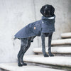 Dog raincoat COOPER, anthracite