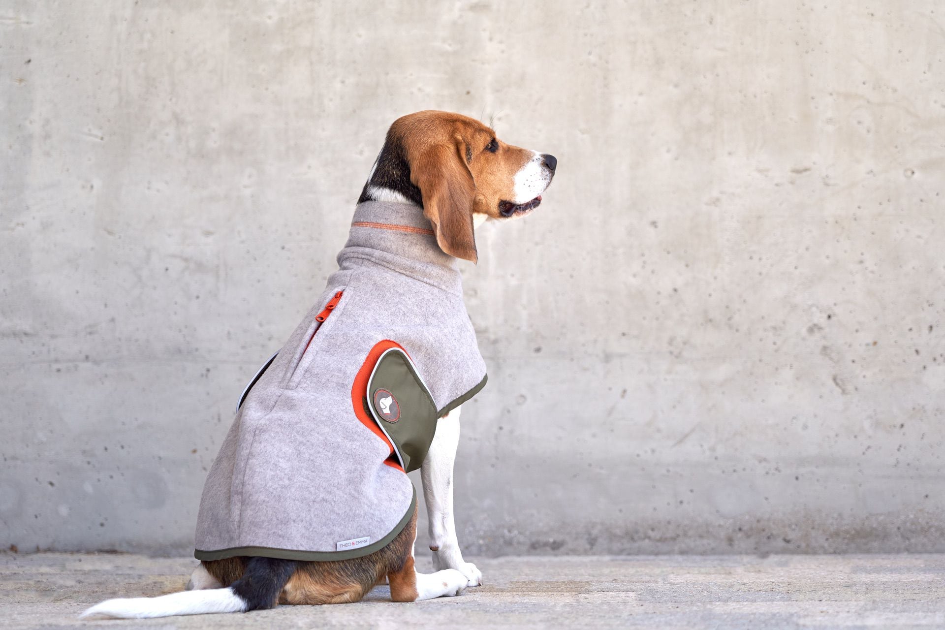 Hundepullover Fleece#Greige-Orange_Oliv