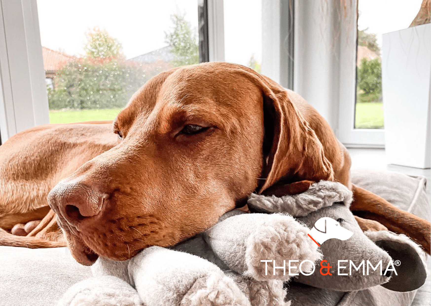 Design Hundepullover