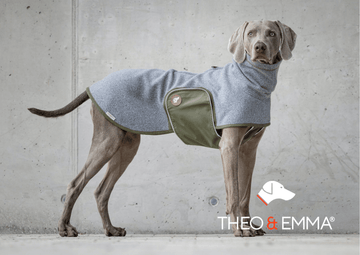 Design Hundepullover