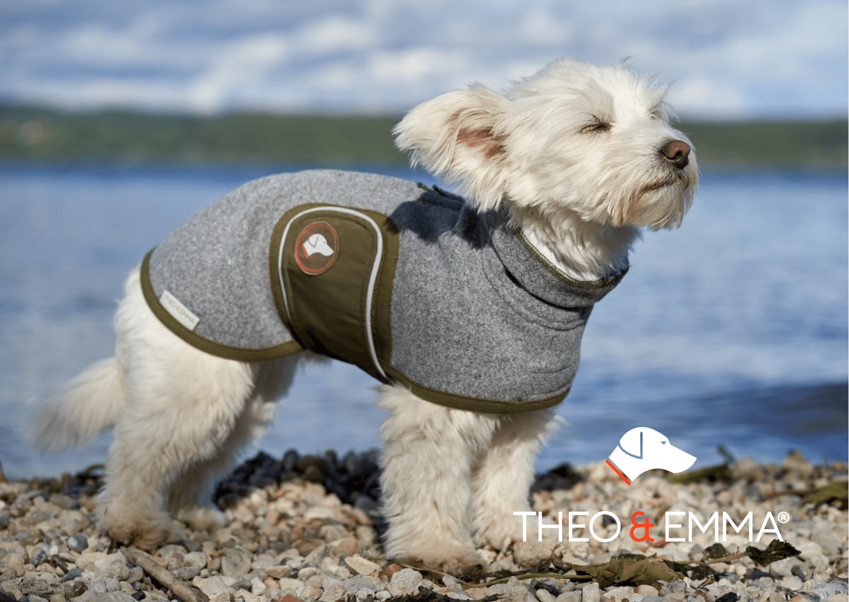 Design Hundepullover