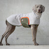 Hundepullover LOTTA – Modell 2024