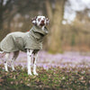 Dog raincoat COOPER, Khaki